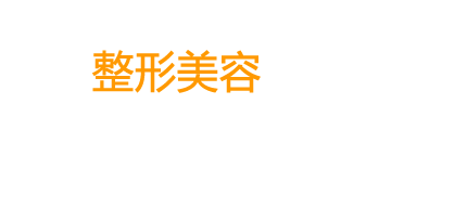 성형수술안내